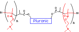 Плюроник-поликатион